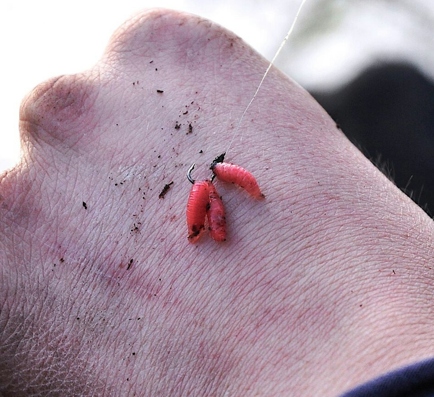 How to float fish fast rivers for chub and barbel Angling Times